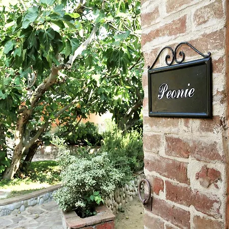 In Tuscany Near Trasimeno